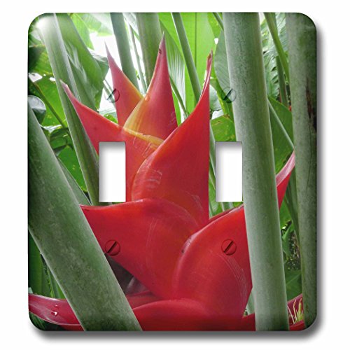 Double interrupteur à bascule Heliconia Flower 3dRose LSP_89785_2