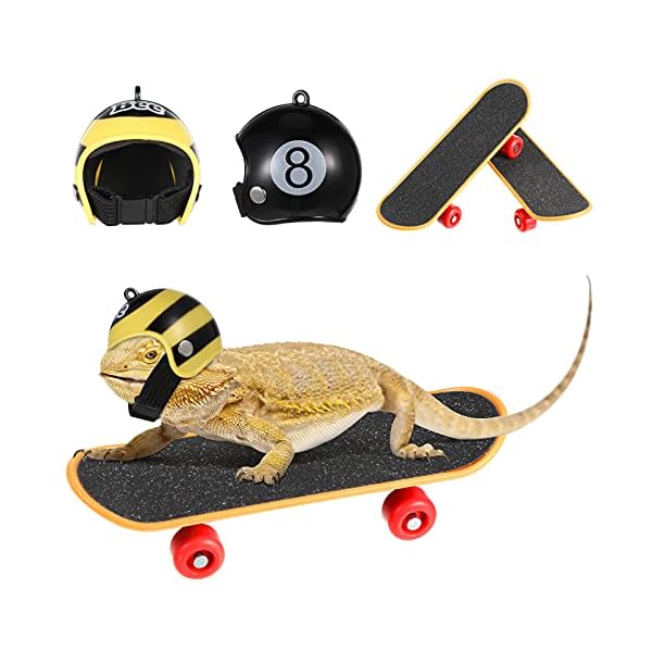Frienda 4 pieces bearded dragon accessories bearded dragon funny toy lizard helmet hat and mini skateboard for lizard bearded dragon hamster parrot reptile small animals