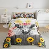 Homemissing Highland Kuh Bettdecke 155x220cm Westliche Dekor Kinder Steppbett Jungen Highland Cattle Wildtiere 4-Jahreszeiten Bettdecke Bauernhaus Cattle Bull Steppdecke mit 1 Kissenbezug