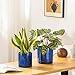 vancasso Ceramic Plant Pots, 3 Piece Planters for Indoor Plants, 4.25+5.25+6.25 Inch Flower Pots with Drainage, Plant Pots Indoor for Succulent, Pothos, Snake Plant and Money Tree, Etc (Blue)