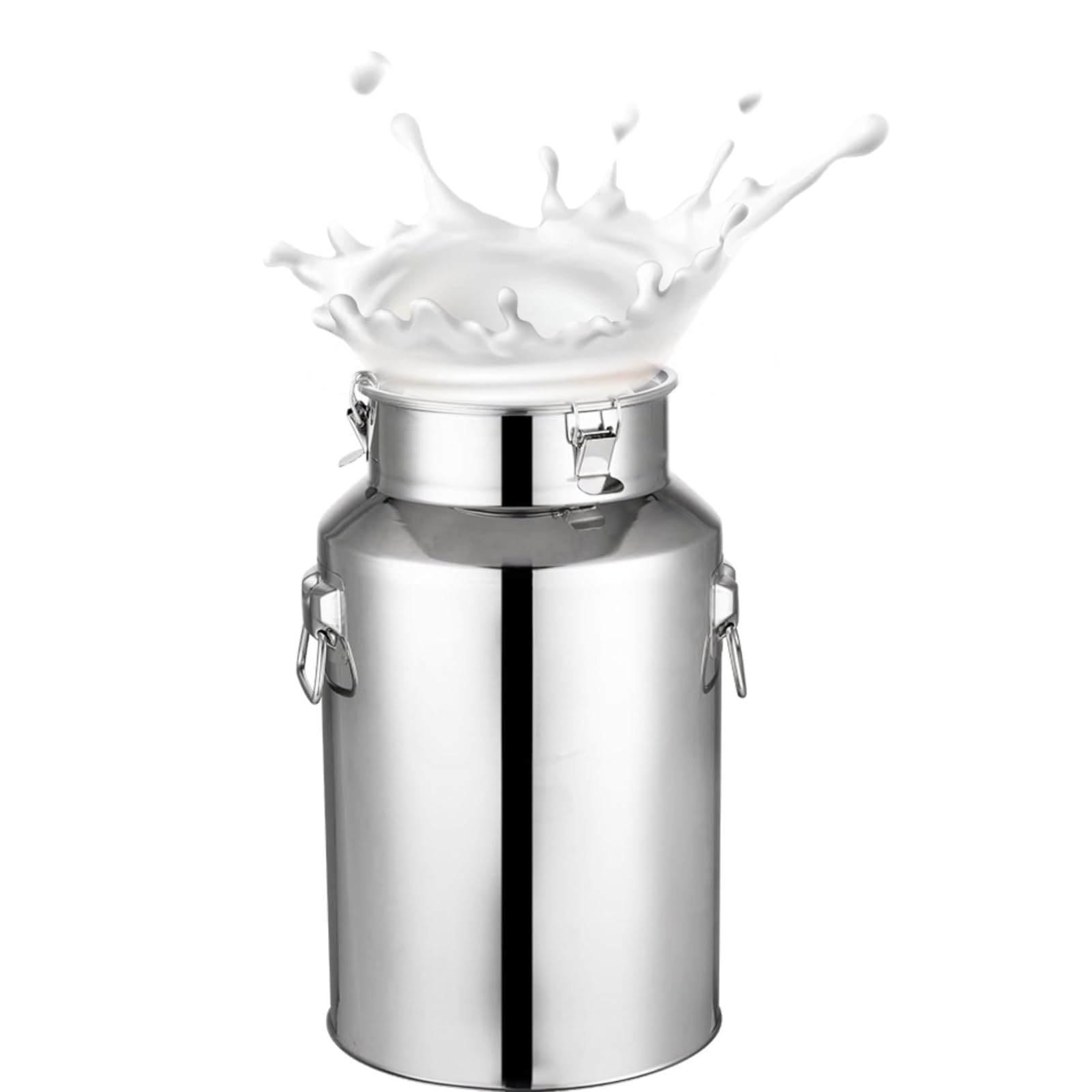 Amazon.com: GOVNPJ Stainless Steel Milk Can, 1.32 Gallon Milk