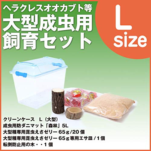 Amazon | 【むしや本舗】 大型成虫用飼育セット（ヘラクレスオオカブト