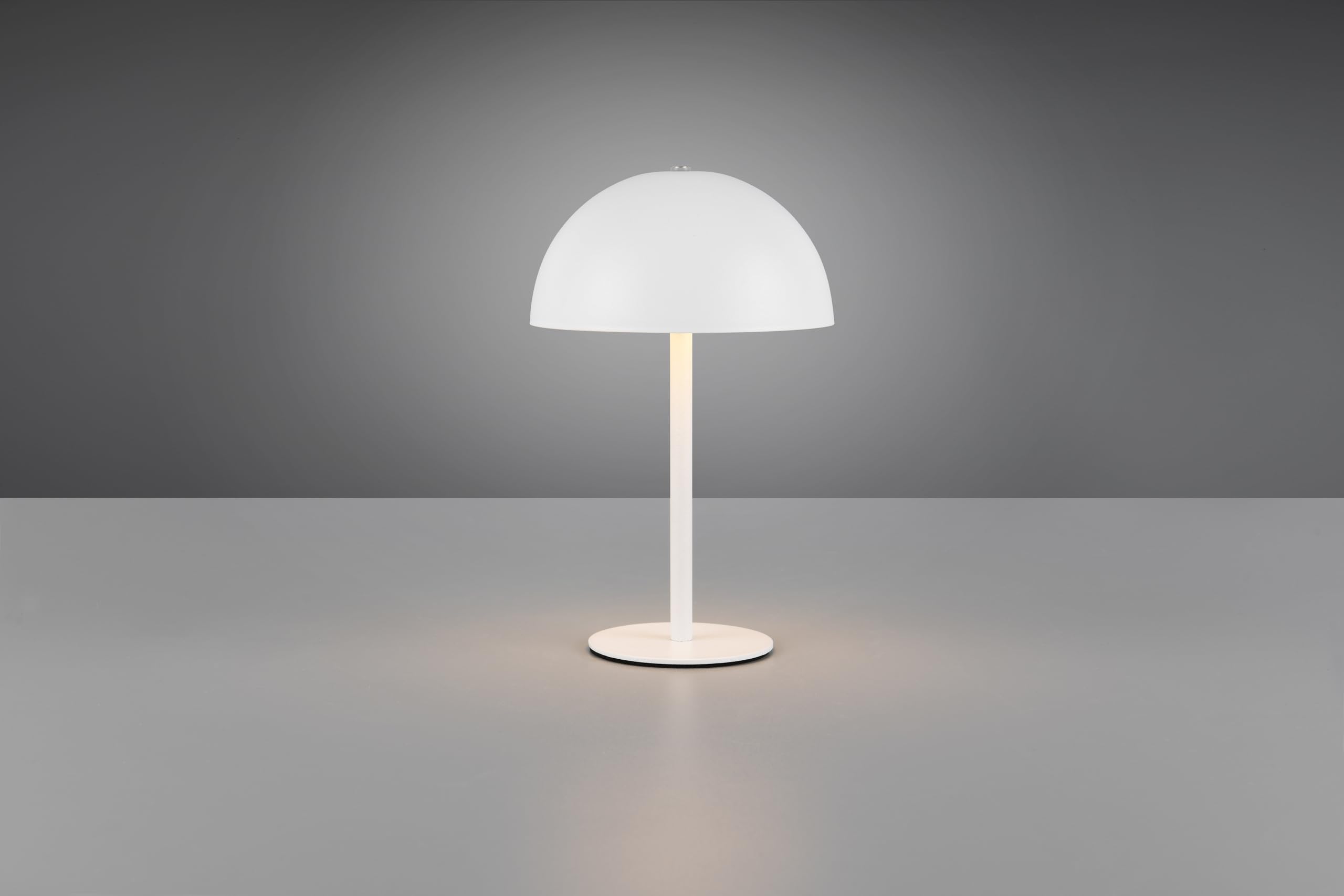 Reality Leuchten lampa stołowa LED Munoz R54891131, metal biały matowy, w zestawie 1,3 W LED, 4-krotny dotyk