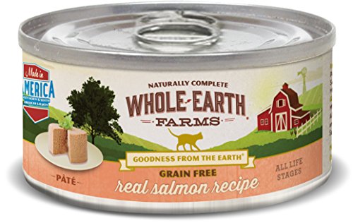 Merrick Pet Care Merrick Whole Earth Farms Grain Free Real Salmon Recipe Cat 24/5Z Pack #TOP23