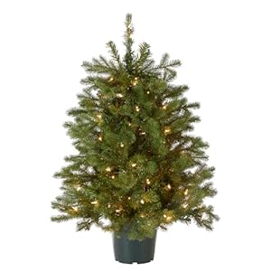 National Tree Company 'Feel Real' Artificial Christmas Tree For Entrances| Includes White Lights and Stand | Hampton Spruce - 3 ft National Tree Company Feel Real Artificial Christmas Tree For Entrances Includes White Lights and Stand Hampton Spruce 3 ft