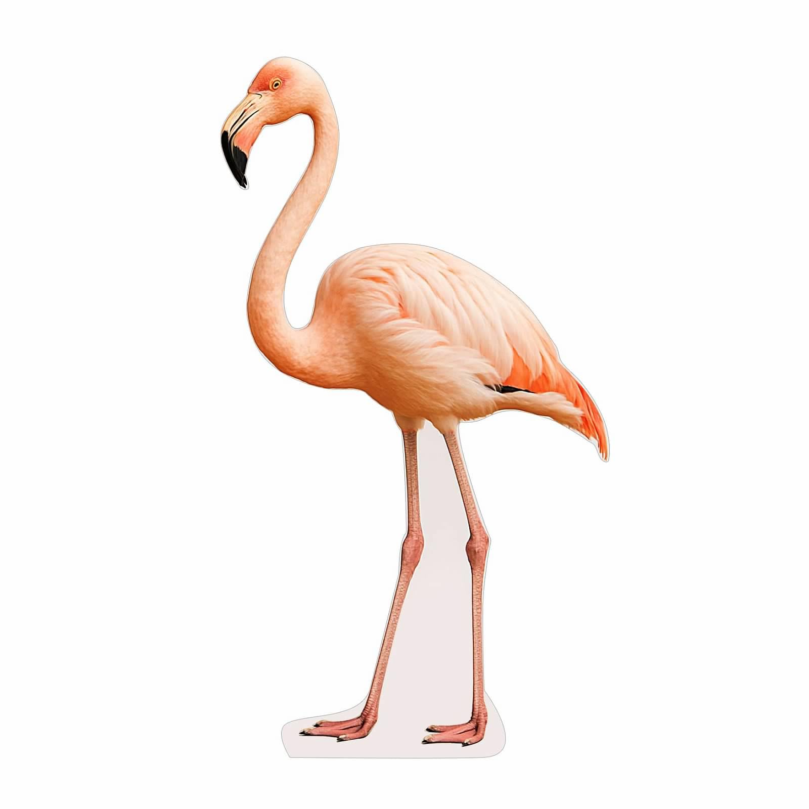 Flamingo 4FT Life Size Cardboard Cutout – A Fun Animal Standup for Photo Booths, Birthday Parties, and Events