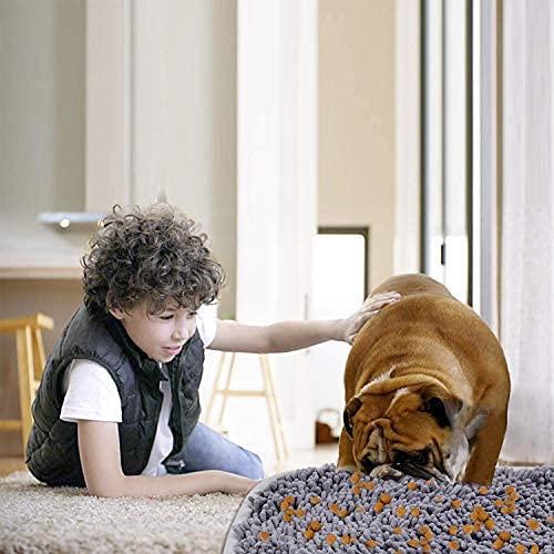 Schnüffelteppich Lamtwek 17 x 21 Zoll für Hunde als Intelligenzspielzeug