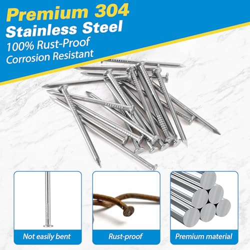 Image of 520PCS Hardware Nails Assortment Kit, 304 Stainless Steel, 6 Sizes, Up to 3 inch Long, with Storage Box Small Nails for Hanging Pictures in Wood, Wall and Drywall