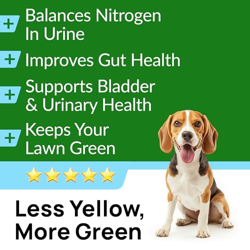 PAWFECTCHEW Green Grass Dog Chews w/Probiotics - Prevent Urine Burning Grass - Dog Pee Grass Spot Saver - Dog Urine Neutralizer for Lawn Treats, UT & Gut Health for Dogs, Lawn Burn from Dog Urine - Image 2