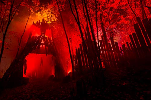 image for Froggys Fog - Half Gallon (64 Oz.) Organic Fog Juice - Medium Density,