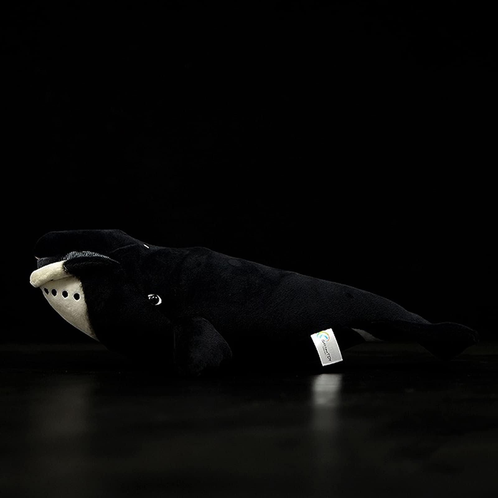 Tiny Heart 17inch Simulated Bowhead whale Plush Toy, Realistic Soft Plush Stuffed Whale Animal Toys - Image 4