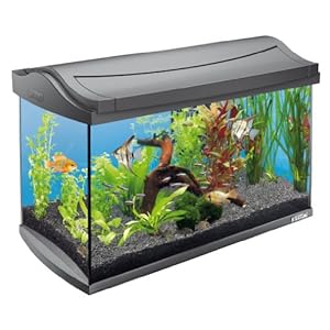 Tetra AquaArt Kit de acuario completo Discover Line, 60L 60 L