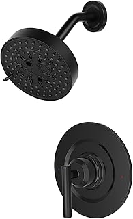 T2902BL Shower Trim Kit Compatible with moen T2902EPBL Shower Trim Kit, Matte Black Shower Head and Shower Lever Handle, Easy to Install, Without 2510 Valve