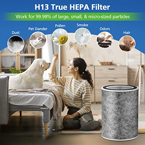 HP302 HP201 Replacement Filter Compatible with Shark HP201 HP302 HP301 HP202 HP232 HC502 AP1000 Air Purifier MAX, H13 True HEPA for 99.97% particles & Dust, Compare Part # HE2FKBAS, HE2FKBASMB, 2 Pack