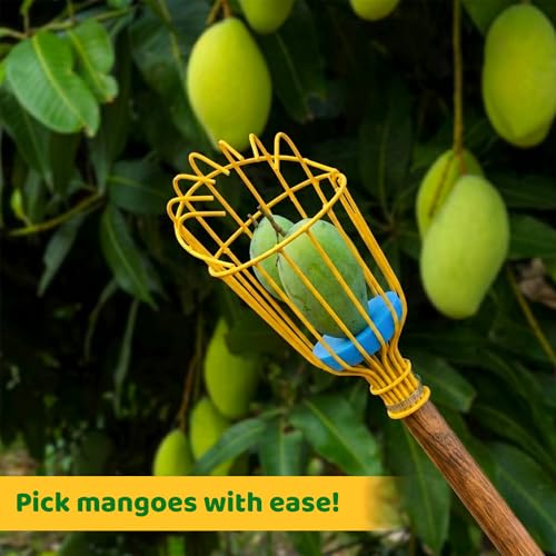 Image of Urban Plant Mango Plucker | Metal Fruit Picker Head | Yellow | with Sponge | Attaches to Any 1-Inch Pole | Rust-Proof Powder-Coated Iron (Pole Not Included)