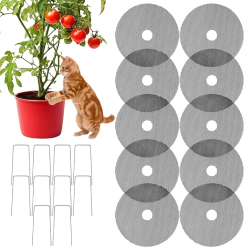 Lp AyJo[,10Jbg\h상bVObhJo[Yt - O K[f A  veN^[ -  L ybg X qL p