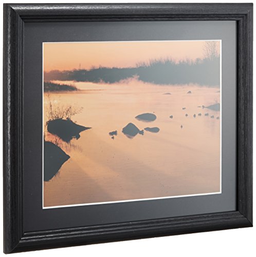 FUJICOLOR 額縁 YM-3 B 6切 木製 ブラック 405143