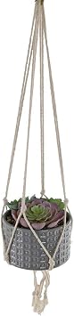Flora Bunda Mid Century Artificial Plants 4.5" Artificial Succulent Garden Macrame Grey Hanging Ceramic Planter