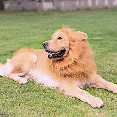Hommand Dog Lion Mane Costumes For Halloween Christmas, Funny&Realistic Pet Lion Mane Wig For Dogs With Ears, Complementary Halloween Dog Lion Costume For Medium To Large Sized Dogs #TOP6