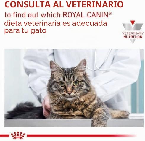 Veterinary Sensitivity Control | Nassfutter für Katzen | 4 x 12 x 85 g