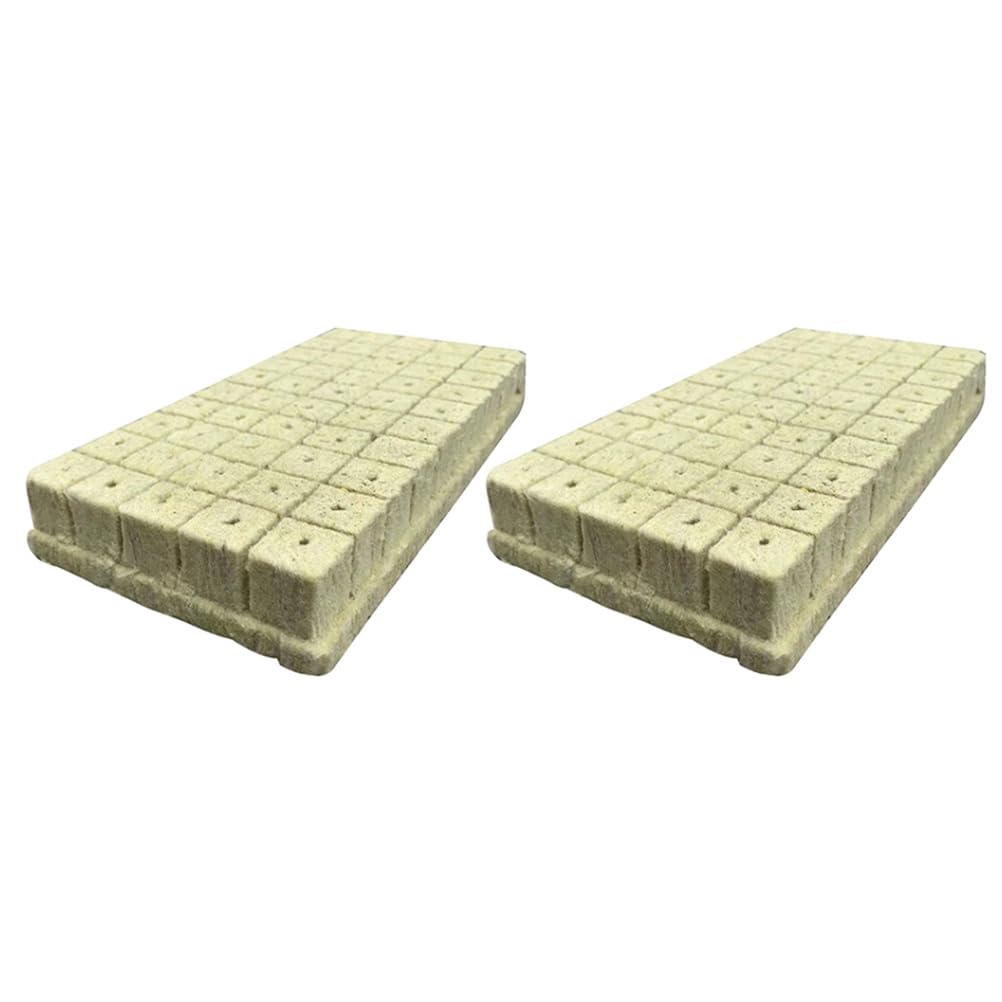 Roccia Cubi di Lana 100pcs Grow Cube Starter in Lana di Roccia Cubetti di avviamento in Lana di Roccia Blocchi di nutrienti (Color : 4X2.5cm)
