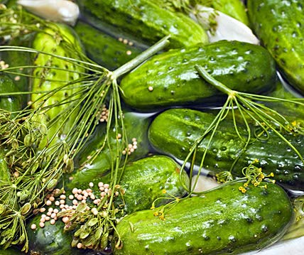 La Verde MEIN GARTEN UND ICH. Vorgebirgstraube Gurken Samen für ca. 40 Pflanzen, Einlegegurke für Freiland und Frühbeet, robust und ertragreich, Saatgut ohne Gentechnik