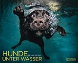 Hunde unter Wasser: Immerwährender Kalender