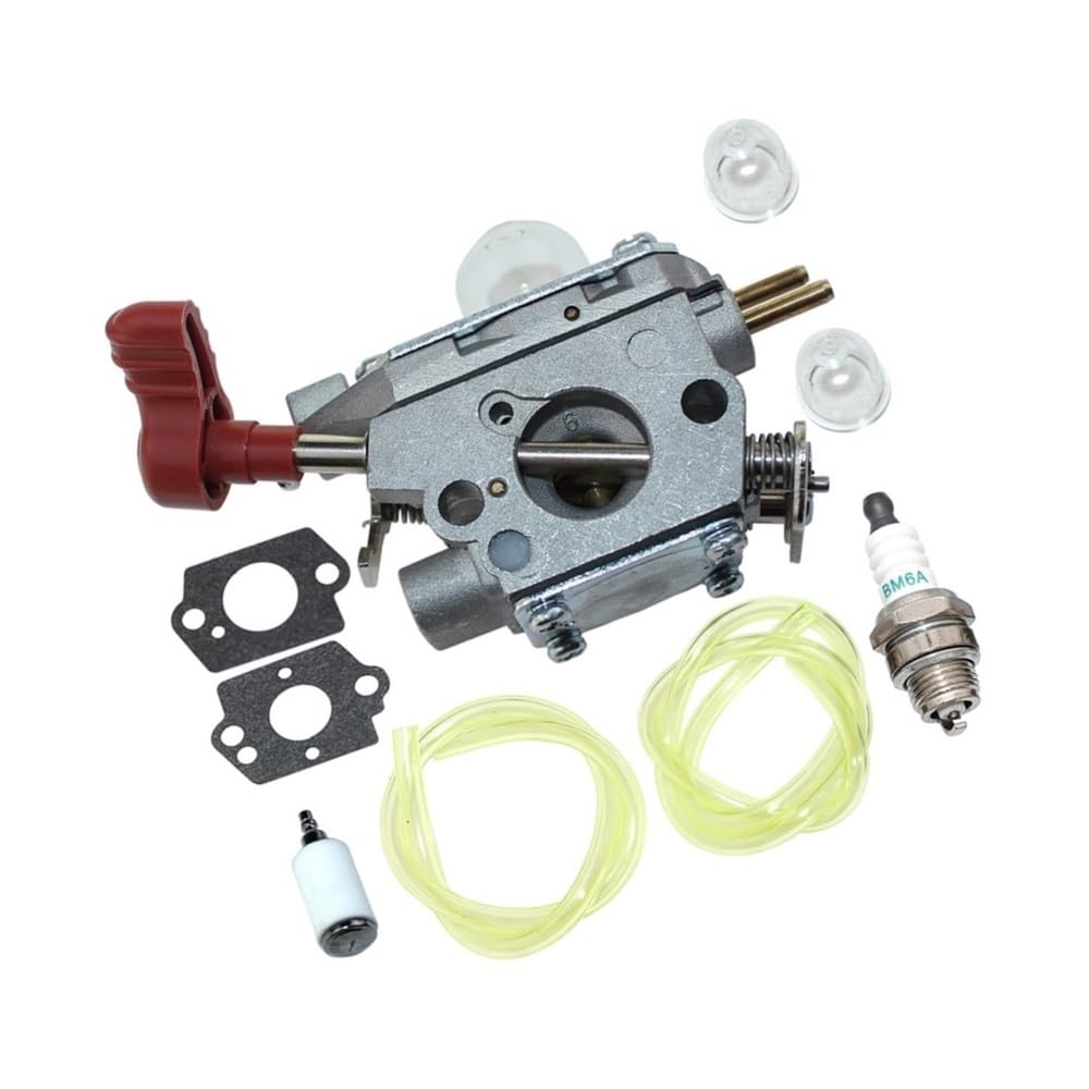 Carburateur C1U-P27 réparation pour moteur en panne 316.791191