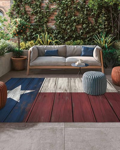 Tapete Savannan Outdoor 4x6 ft Bandera Texas
