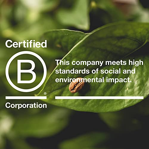 Joe Bean Roasters | Blend | Tiger Stripe Espresso | Whole Bean Coffee | 2 Lb Bag | Full Bodied With Notes Of Chocolate And Almond | Specialty Coffee | B Corp Certified #TOP2