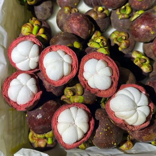Mangostan Fruta Marca Generic