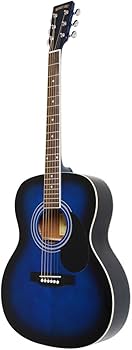 Amazon | HONEY BEE ハニービー アコースティックギター フォーク