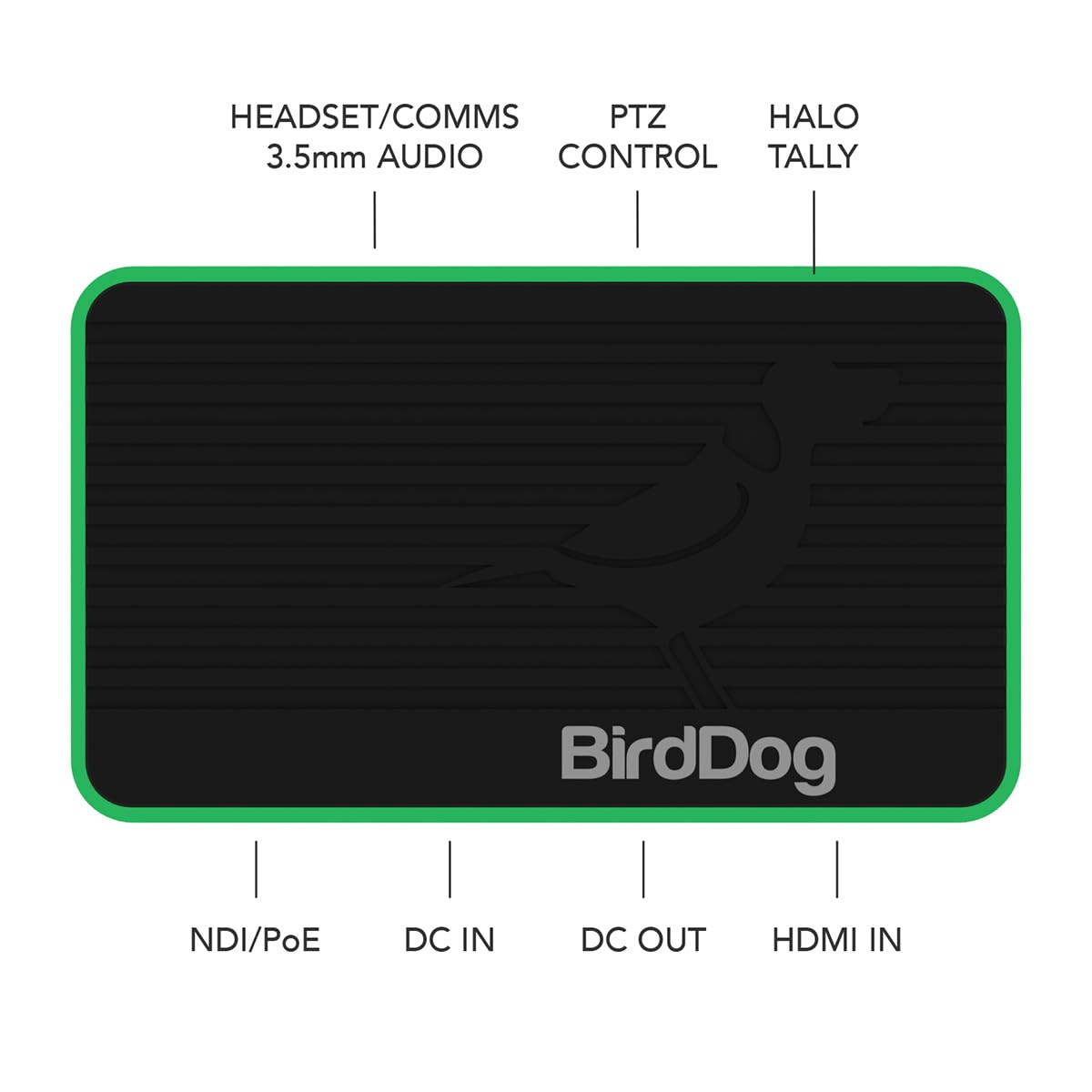 Amazon.com: BirdDog BDFLEXENC Flex 4K in Full NDI Encoder