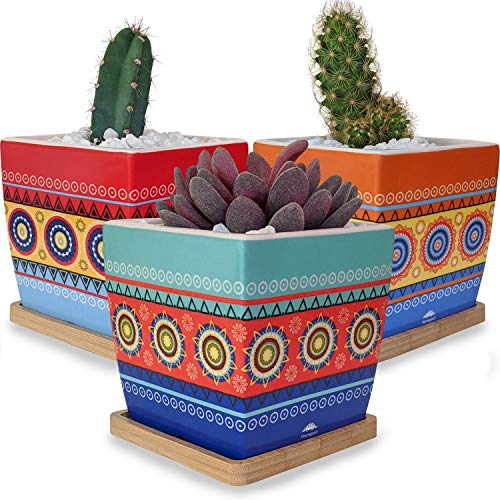 Small Ceramic Succulent Planter Pots with Drainage Holes and Tray Saucers for Plants, Flowers, Cactus and Succulents - Cute Mini Decorative Indoor Plant Flower Pot Set and Bamboo Trays Garden Planters