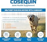 Nutramax - COSEQUIN Joint Health Supplement for Dogs, Maximum Strength - Joint Support - with Glucosamine and Chondroitin, MSM, and Hyaluronic Acid - for Dogs, 250 Chewable Tablets