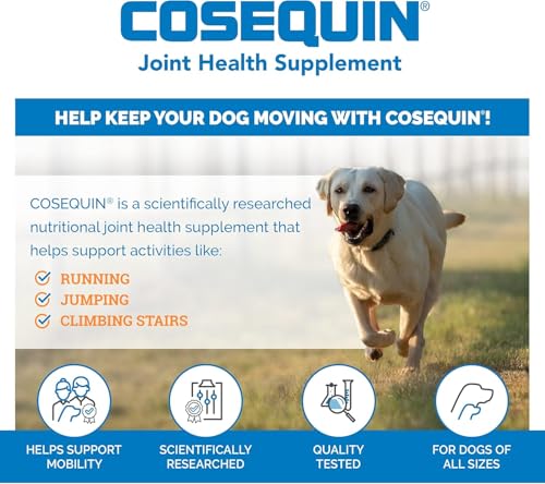 Nutramax - COSEQUIN Joint Health Supplement for Dogs, Maximum Strength - Joint Support - with Glucosamine and Chondroitin, MSM, and Hyaluronic Acid - for Dogs, 250 Chewable Tablets