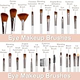 GZIXBDA Makeup Brush Set, 52Pcs Makeup Tool Set Premium Synthetic Foundation Concealers Powder Eye Shadows Makeup Brushes Kit for for Beginner Professional, Beige