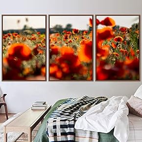 signwin 3 Piece Framed Canvas Wall Art Colorful...