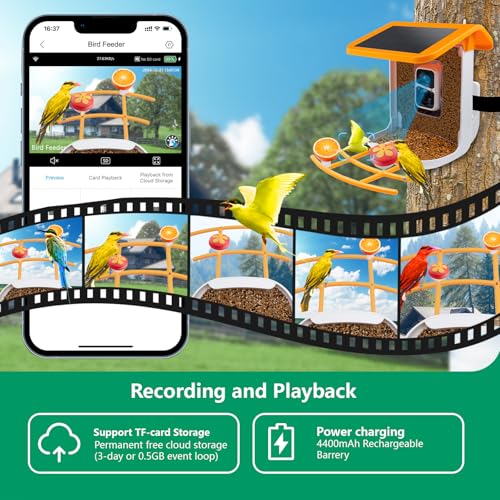 Bird Feeder with Camera Solar Powered, 2K Live Video, for Outdoor Backyard - Ai Identify Auto Capture Videos, Unique Outdoor Gifts for Mom Dad Birdlover