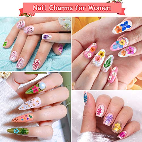 image for 6 Boxes Dried Flowers for Nail Art, Audab 190 Pcs Nail Dried Flowers M