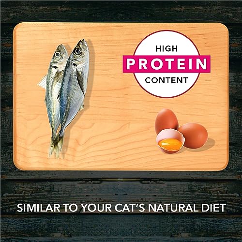 Image of Meat Up Adult (+1 Year) Dry Cat Food, Ocean Fish, 1.5 kg (Buy 1 Get 1 Free)