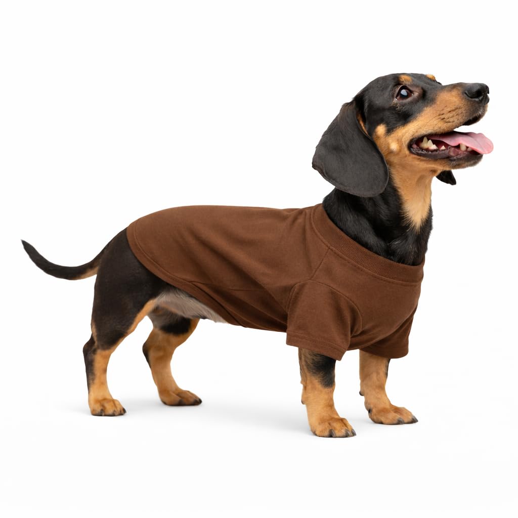 Vêtements pour animaux teckel 100% coton respirant Lovelonglong D-S