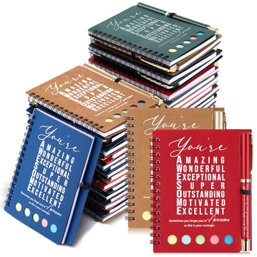 Carnets à spirale pour bureau lot de 25 cahiers de notes avec stylos