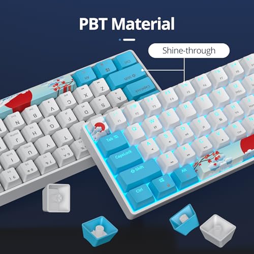 Image of 60 Percent Gaming Keyboard 61 Keys Wired Mechanical Keyboard Ultra Compact Key Board Red Switch LED Backlit for Windows Laptop Gamer(61Sea)