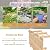 Tangkula 5 FT Wooden Garden Bridge, Arch Stained Finish Footbridge with Double Safety Rails, Outdoor Fir Construction Decorative Bridge Walkway for Backyard, Gravel Road, Creek, Farm (Natural Wood)