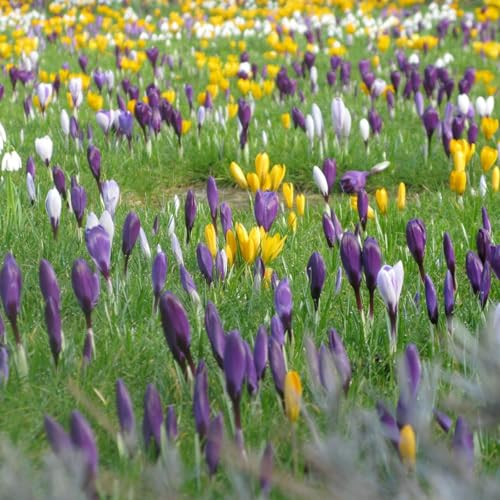 Il weekend del 21/22 Marzo 2026