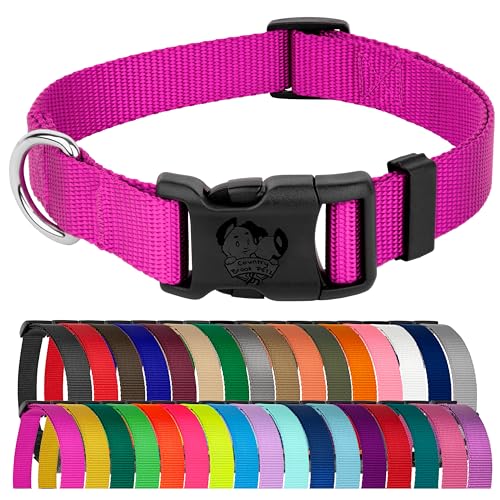 Country Brook Petz collier chien nylon quotidien XL, 1" large (Fuchsia)