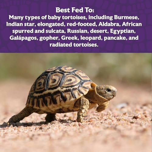 Image of Mazuri | Young Turtle Food for Turtle Puppies | 8 Ounce Bag (8 Oz) 8 Ounce (Pack of 1),Pellet