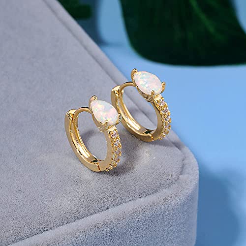 Lasidor Gold Small Hoop Earrings Opal Hinged Huggie Earrings Yellow Gold Plated Hypoallergenic Earrings For Women Girls Men #TOP2