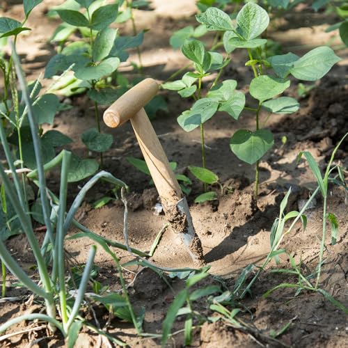 Gardening Planting Tool Set